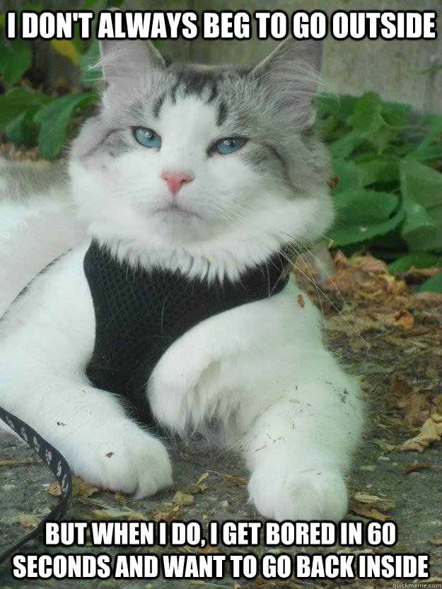 i don't always beg to go outside but when I do, i get bored in 60 seconds and want to go back inside  The Most Interesting Cat in the World