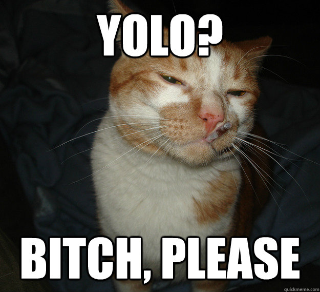 Yolo? Bitch, please  Cool Cat Craig