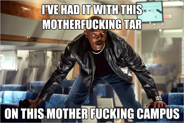 direction audience Cilia i've had it withe these mother fucking cats on this mother fucking front  page - Samuel Jackson is sick of - quickmeme