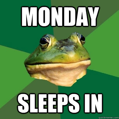 Monday sleeps in  Foul Bachelor Frog