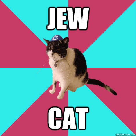 Jew Cat  Jew Cat is Jewish