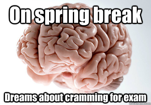 On spring break Dreams about cramming for exam   Scumbag Brain