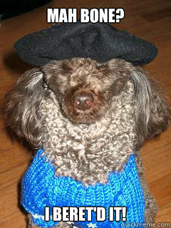 Mah bone? I beret'd it!  French Pun Poodle