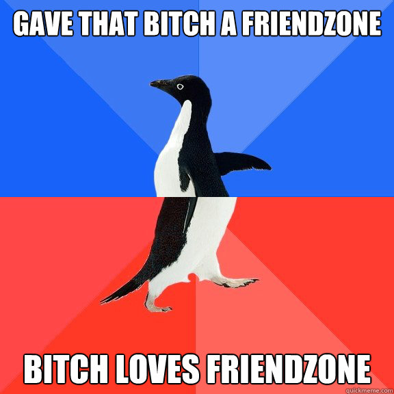 Gave that bitch a friendzone Bitch loves friendzone  Socially Awkward Awesome Penguin