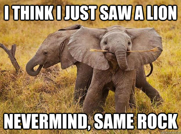 I think I just saw a lion Nevermind, same rock - I think I just saw a lion Nevermind, same rock  Overly Paranoid Elephant