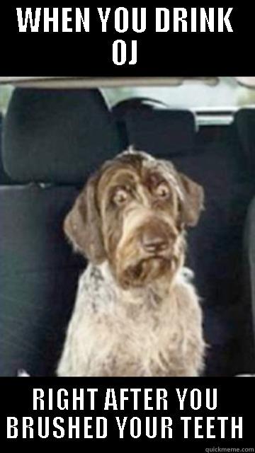 WHEN YOU DRINK OJ RIGHT AFTER YOU BRUSHED YOUR TEETH Misc