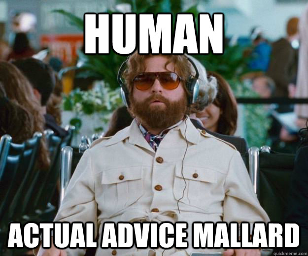 Human actual advice mallard  Words of Wisdom