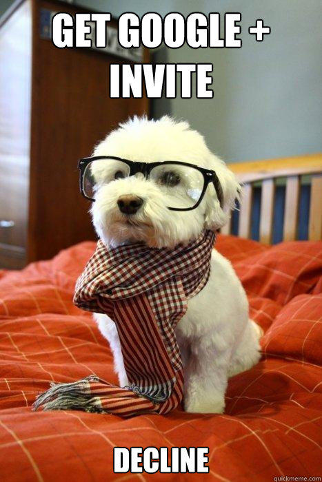 Get Google + Invite decline  Hipster Dog