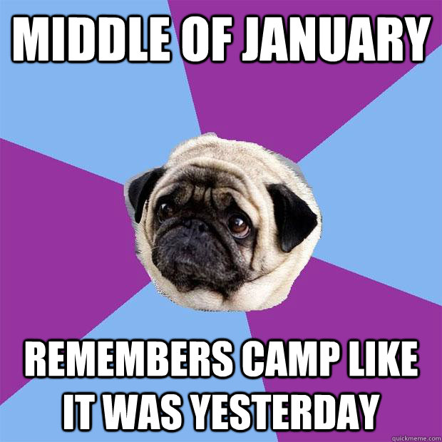 Middle of January Remembers camp like it was yesterday  Lonely Pug
