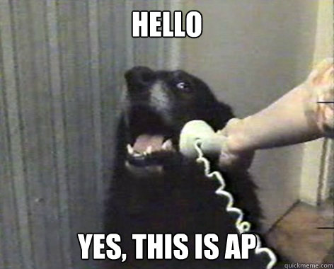 Hello Yes, This is AP  ap dog