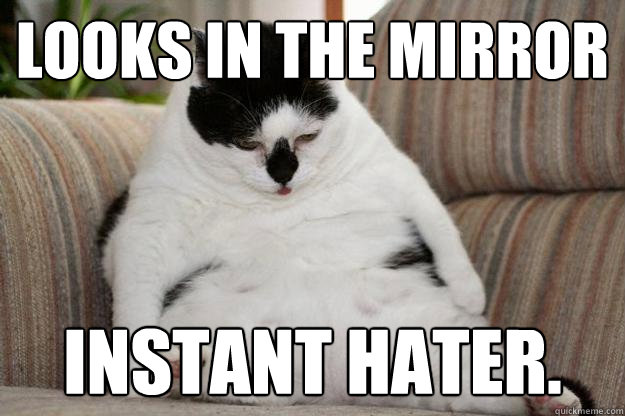 Looks in the mirror instant Hater.  