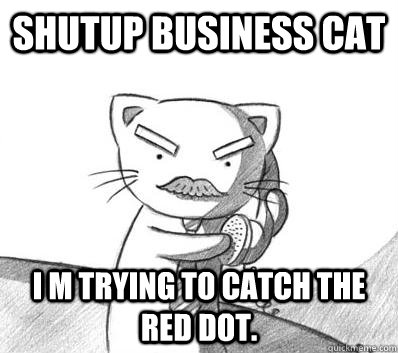Shutup Business cat I m trying to catch the red dot.   