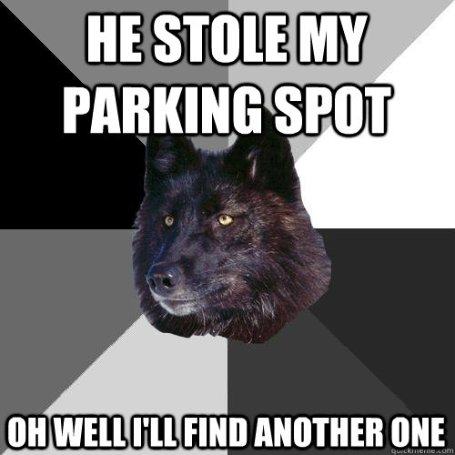 he stole my parking spot  oh well i'll find another one - he stole my parking spot  oh well i'll find another one  Sanity Wolf