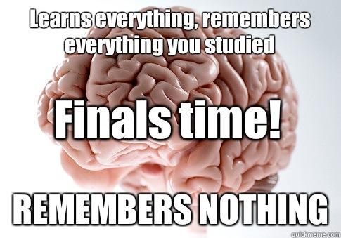 Learns everything, remembers everything you studied REMEMBERS NOTHING Finals time!  Scumbag Brain