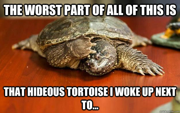 the worst part of all of this is that hideous tortoise i woke up next to... - the worst part of all of this is that hideous tortoise i woke up next to...  Hangover turtle