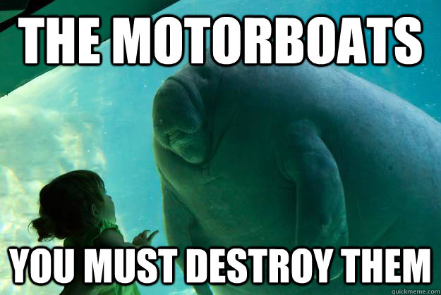 the motorboats you must destroy them  Overlord Manatee