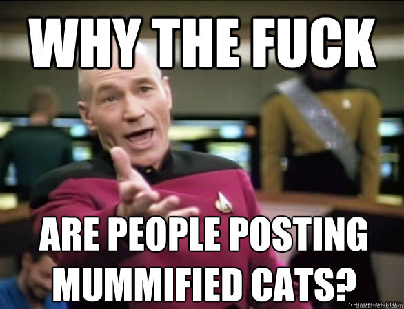 why the fuck are people posting mummified cats?  Annoyed Picard HD