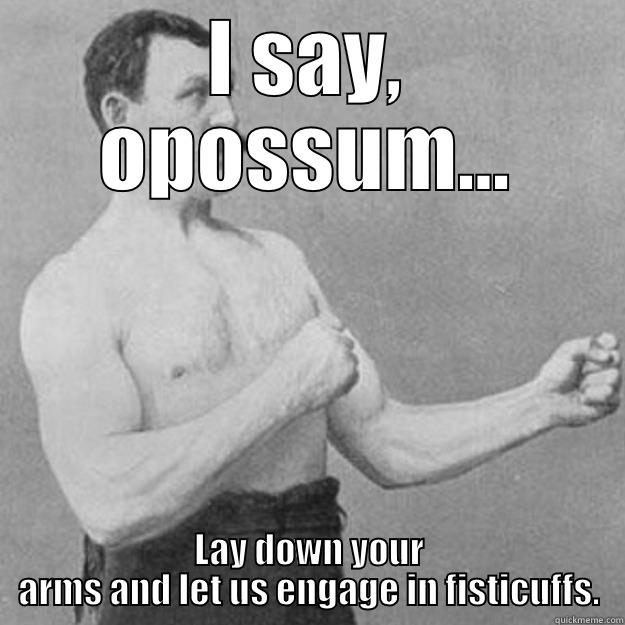 I SAY, OPOSSUM... LAY DOWN YOUR ARMS AND LET US ENGAGE IN FISTICUFFS. overly manly man