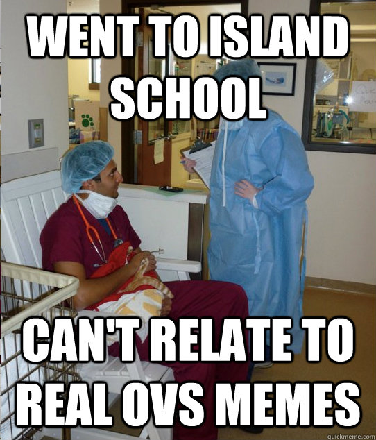 Went to island school Can't relate to real OVS memes  Overworked Veterinary Student