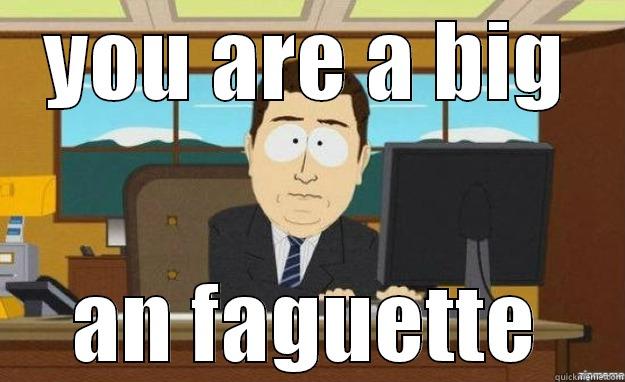 an Faguette - YOU ARE A BIG AN FAGUETTE aaaand its gone