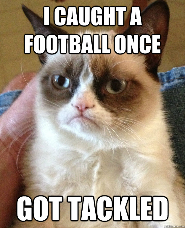 I caught a football once got tackled  Grumpy Cat