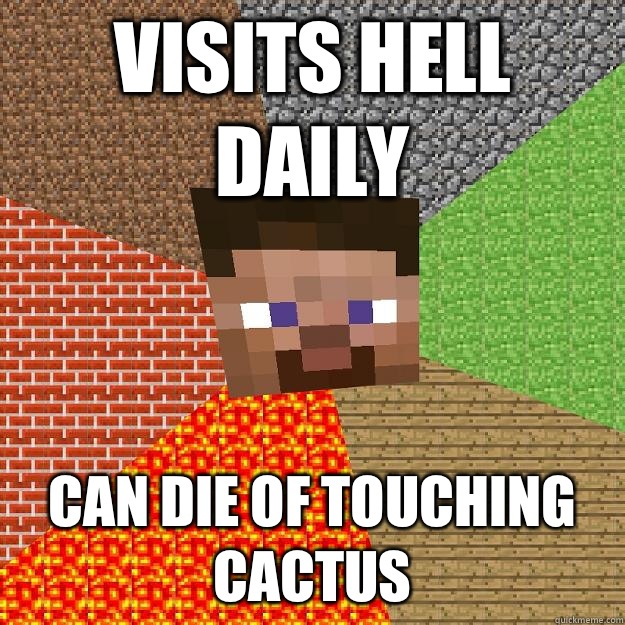 Visits hell daily Can die of touching cactus  Minecraft