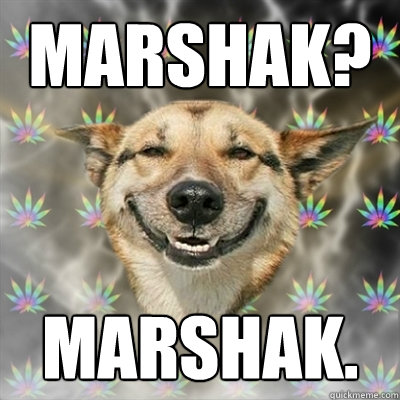Marshak? Marshak.  Stoner Dog