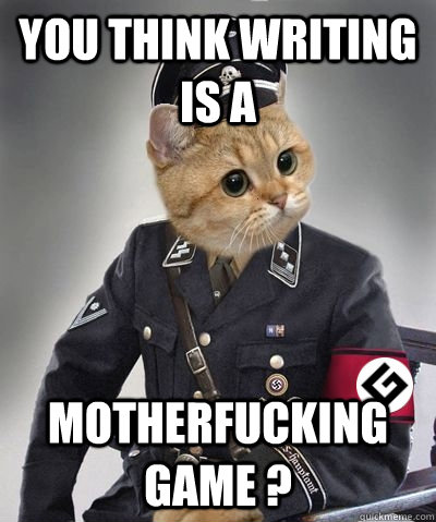 you think writing is a motherfucking game ? - you think writing is a motherfucking game ?  grammar nazi cat