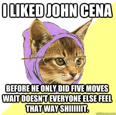 I liked John Cena Before he only did five moves wait doesn't everyone else feel that way SHIIIIIIT.  Hipster Kitty