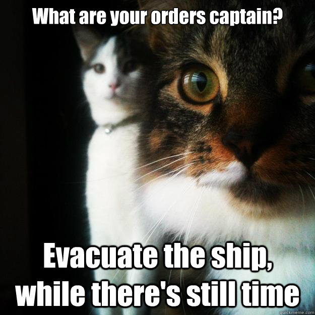 What are your orders captain? Evacuate the ship, while there's still time - What are your orders captain? Evacuate the ship, while there's still time  Concerned Cat