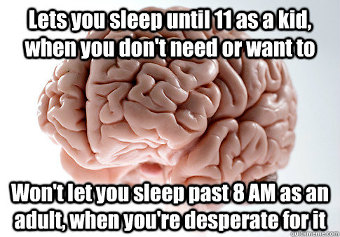 Lets you sleep until 11 as a kid, when you don't need or want to Won't let you sleep past 8 AM as an adult, when you're desperate for it   Scumbag Brain
