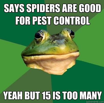 says spiders are good for pest control yeah but 15 is too many  Foul Bachelor Frog