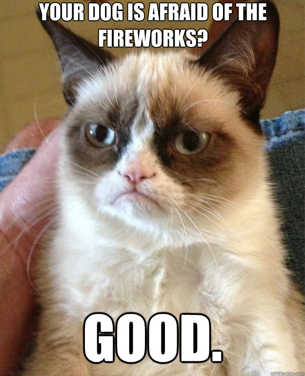 your dog is afraid of the fireworks? Good. - your dog is afraid of the fireworks? Good.  Misc