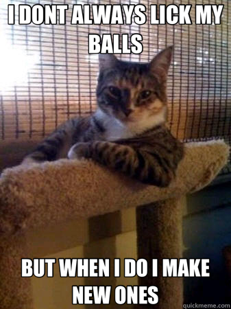 I DONT ALWAYS LICK MY BALLS BUT WHEN I DO I MAKE NEW ONES  The Most Interesting Cat in the World