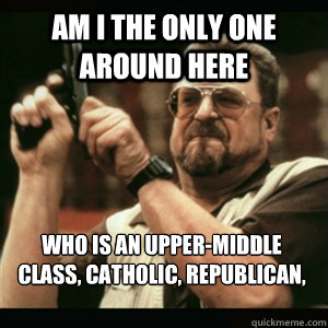 Am i the only one around here WHO is an upper-middle class, catholic, republican, highschooler?  Am I The Only One Round Here