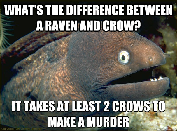 What's the difference between a raven and crow? It takes at least 2 crows to make a murder  Bad Joke Eel