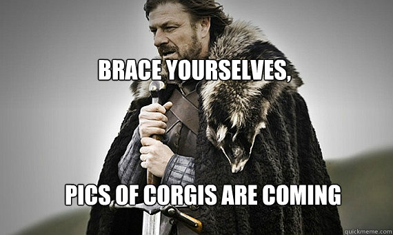 bRACE YOURSELVES, Pics of Corgis are coming  