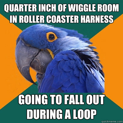 quarter inch of wiggle room in roller coaster harness going to fall out during a loop  Paranoid Parrot