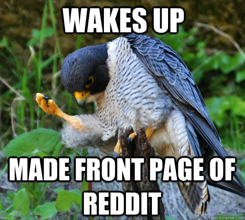 WAKES UP MADE FRONT PAGE OF REDDIT  