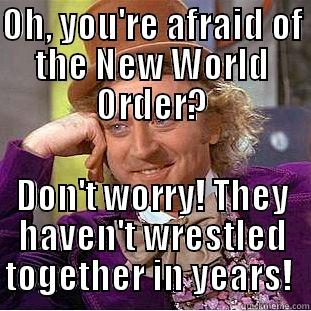 OH, YOU'RE AFRAID OF THE NEW WORLD ORDER? DON'T WORRY! THEY HAVEN'T WRESTLED TOGETHER IN YEARS!  Condescending Wonka