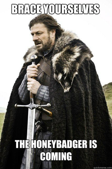 BRACE YOURSELVES THE HONEYBADGER IS COMING  Boromir Relationship