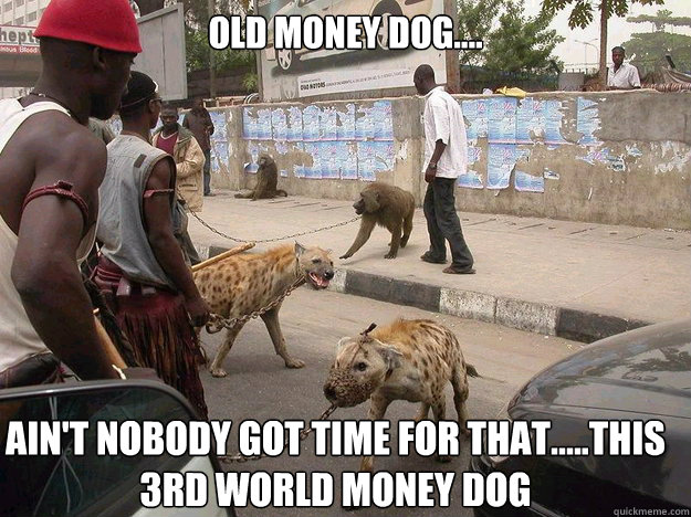 old money dog.... Ain't Nobody Got Time for That.....this 3rd world money dog - old money dog.... Ain't Nobody Got Time for That.....this 3rd world money dog  Misc