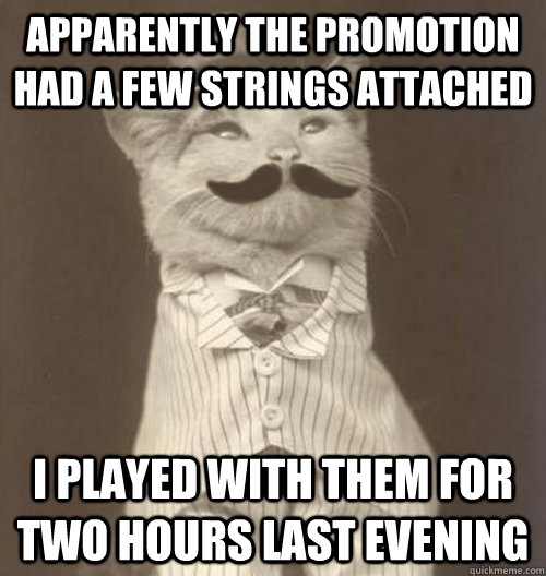 Apparently the promotion had a few strings attached I played with them for two hours last evening  Original Business Cat