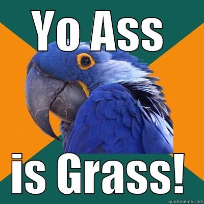 YO ASS IS GRASS! Paranoid Parrot