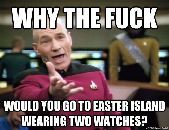 Why the fuck Would you go to Easter Island wearing TWO watches?  Annoyed Picard HD