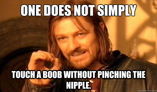 One Does Not Simply Touch a boob without pinching the nipple.  Boromir