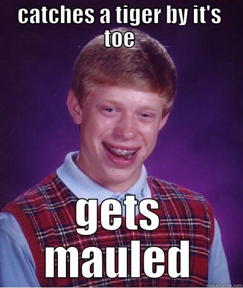 CATCHES A TIGER BY IT'S TOE GETS MAULED Bad Luck Brian