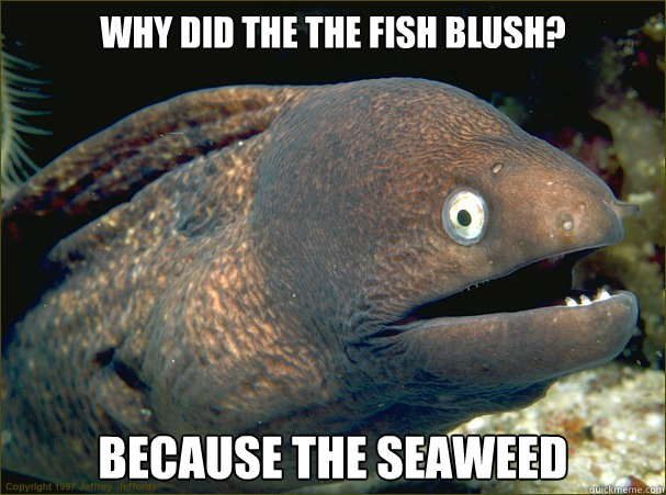 Why did the the fish blush? Because the seaweed  Bad Joke Eel