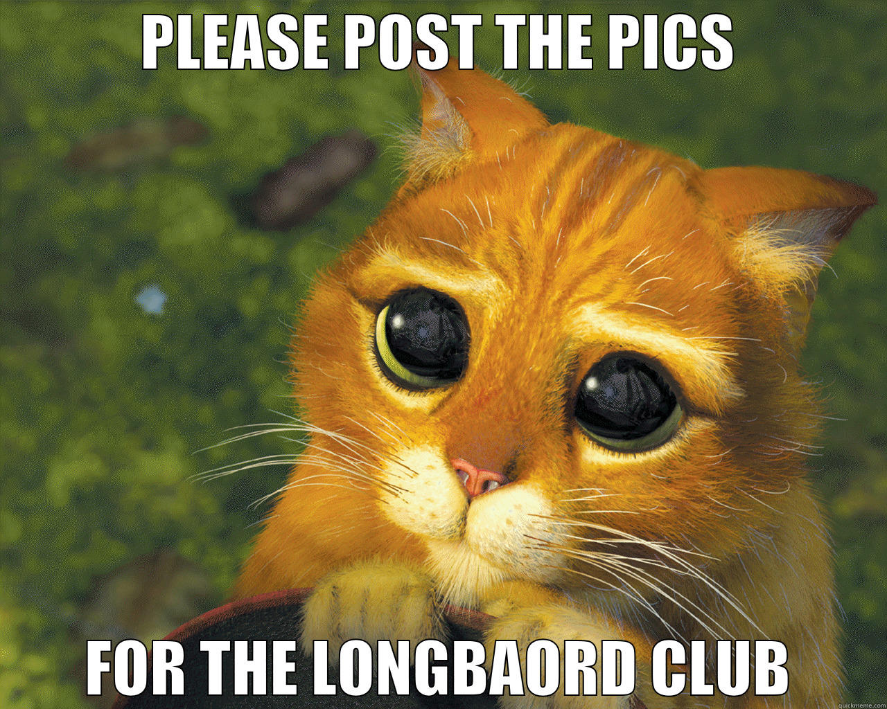 PLEASE POST THE PICS FOR THE LONGBAORD CLUB Y U No
