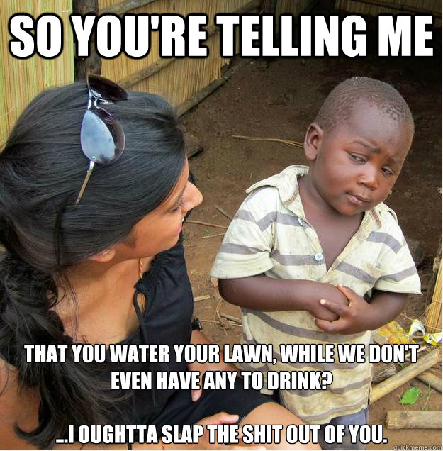So you're telling me that you water your lawn, while we don't even have any to drink?

...I oughtta slap the shit out of you.   Sceptical African child
